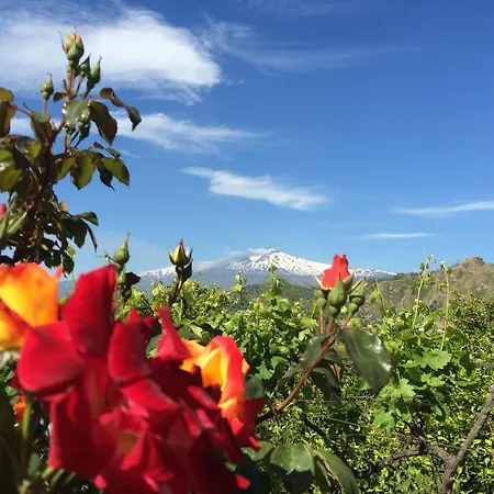 Il Giardino Segreto
