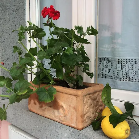 Il Giardino Segreto