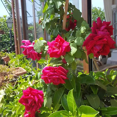 Bed and Breakfast Il Giardino Segreto