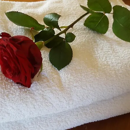 Il Giardino Segreto 2*